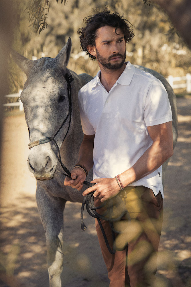 Polo harvest cheap